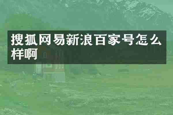 搜狐网易新浪百家号怎么样啊