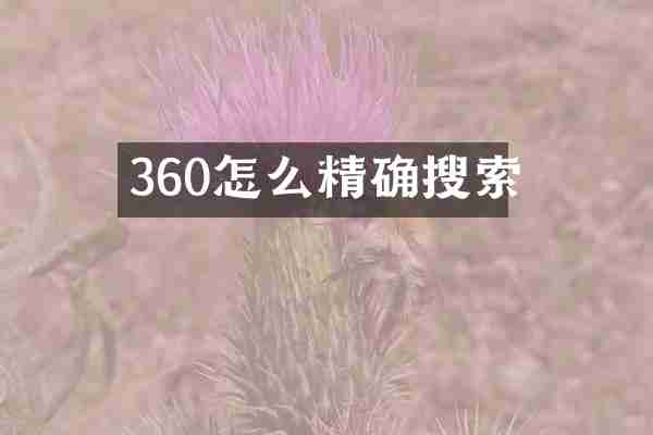 360怎么精确搜索