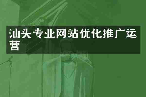汕头专业网站优化推广运营