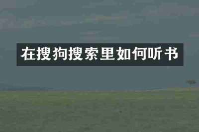 在搜狗搜索里如何听书