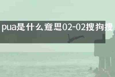 pua是什么意思02-02搜狗搜索