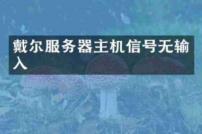 戴尔服务器主机信号无输入