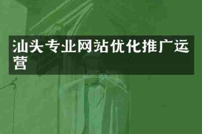 汕头专业网站优化推广运营
