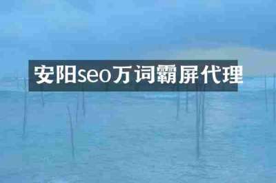 安阳seo万词霸屏代理