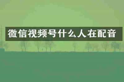 微信视频号什么人在配音