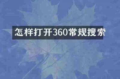 怎样打开360常规搜索