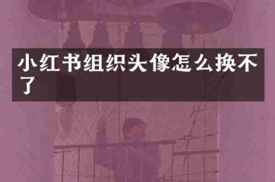 小红书组织头像怎么换不了