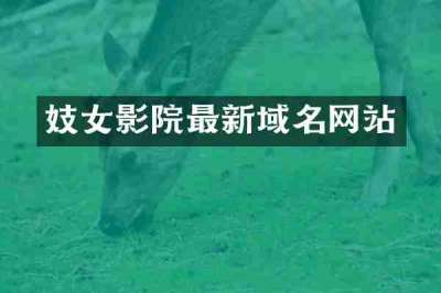 妓女影院最新域名网站
