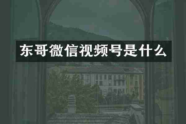 东哥微信视频号是什么