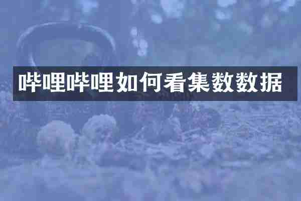 哔哩哔哩如何看集数数据