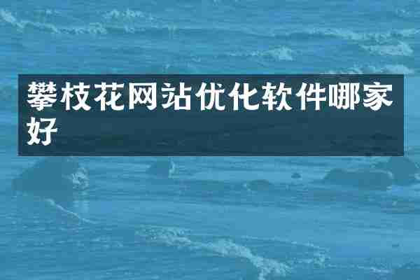 攀枝花网站优化软件哪家好