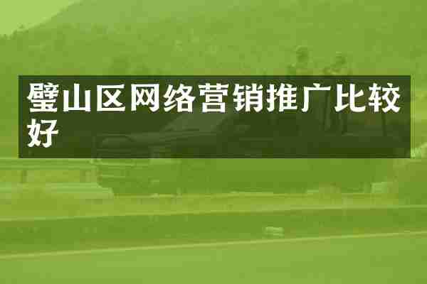 璧山区网络营销推广比较好