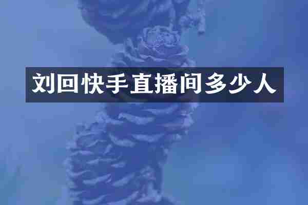 刘回快手直播间多少人