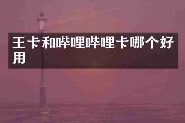 王卡和哔哩哔哩卡哪个好用