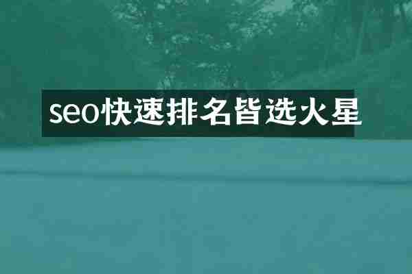 seo快速排名皆选火星