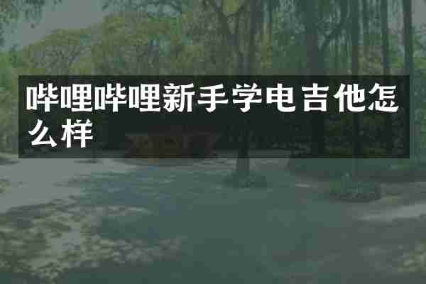哔哩哔哩新手学电吉他怎么样