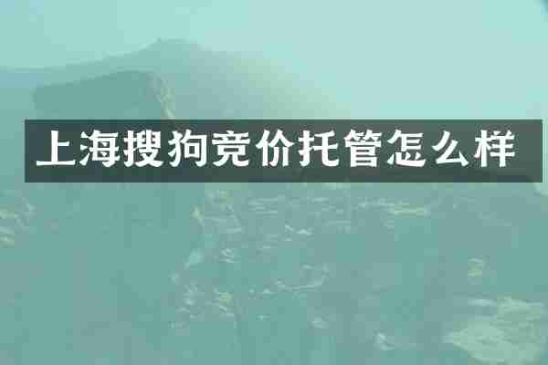 上海搜狗竞价托管怎么样
