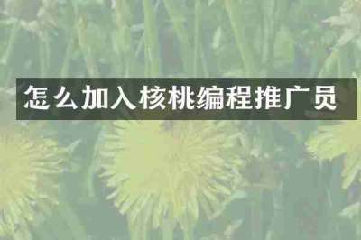 怎么加入核桃编程推广员