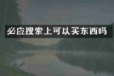必应搜索上可以买东西吗
