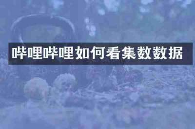 哔哩哔哩如何看集数数据