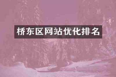 桥东区网站优化排名