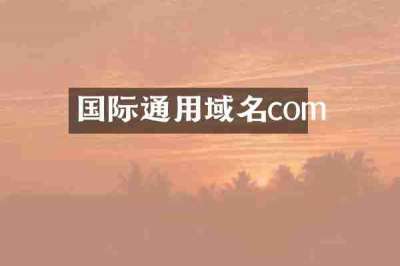 国际通用域名com
