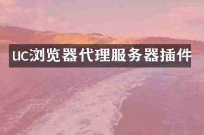 uc浏览器代理服务器插件
