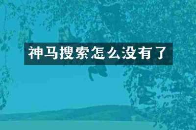 神马搜索怎么没有了