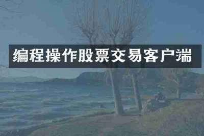 编程操作股票交易客户端