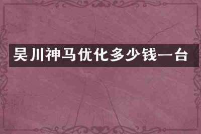 吴川神马优化多少钱一台