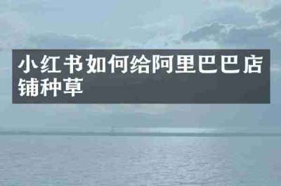 小红书如何给阿里巴巴店铺种草