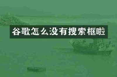 谷歌怎么没有搜索框啦
