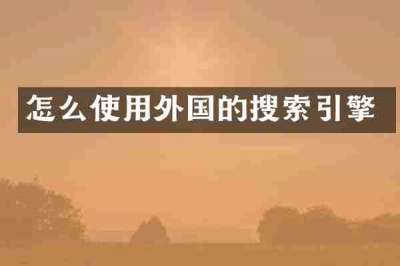 怎么使用外国的搜索引擎