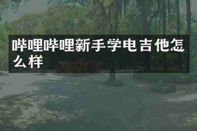 哔哩哔哩新手学电吉他怎么样