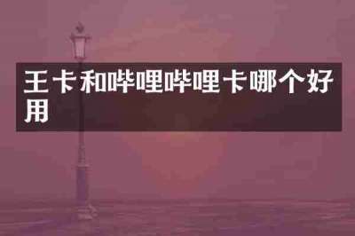 王卡和哔哩哔哩卡哪个好用
