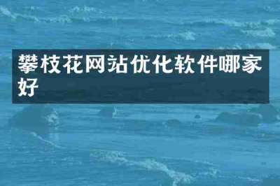 攀枝花网站优化软件哪家好