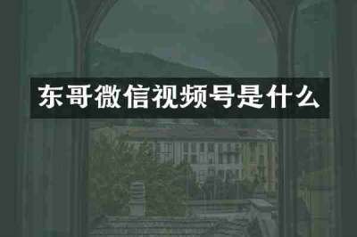 东哥微信视频号是什么