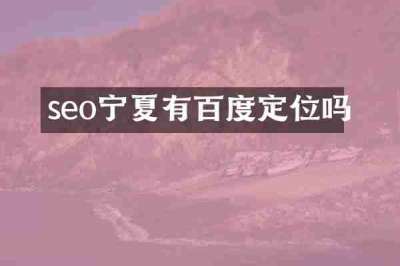 seo宁夏有百度定位吗