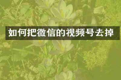 如何把微信的视频号去掉