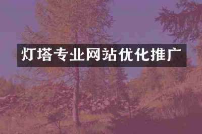 灯塔专业网站优化推广