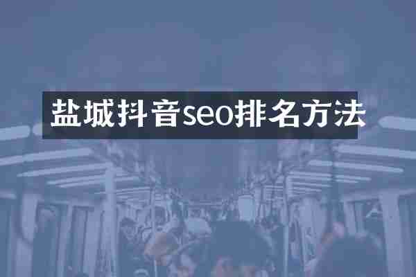 盐城抖音seo排名方法