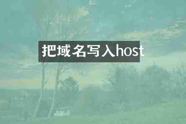 把域名写入host