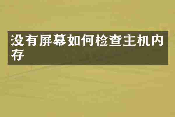 没有屏幕如何检查主机内存
