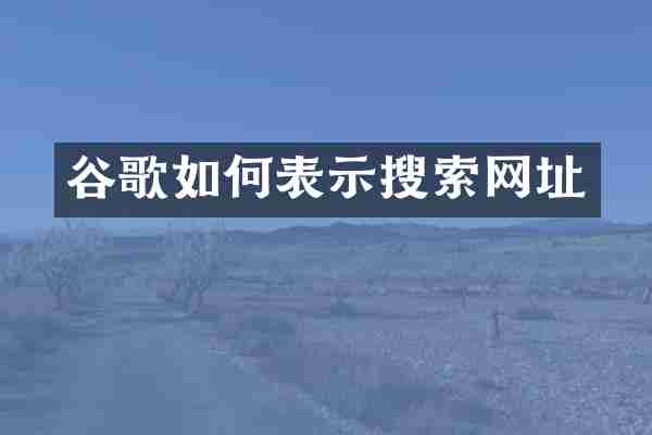 谷歌如何表示搜索网址