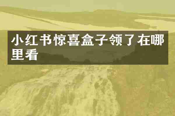 小红书惊喜盒子领了在哪里看
