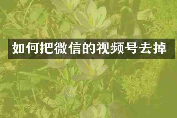 如何把微信的视频号去掉