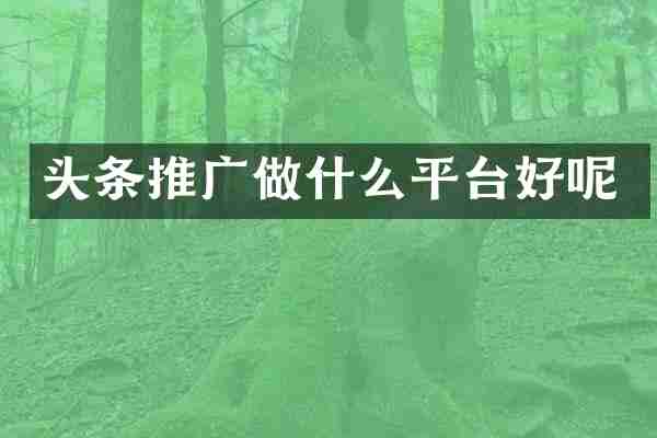 头条推广做什么平台好呢