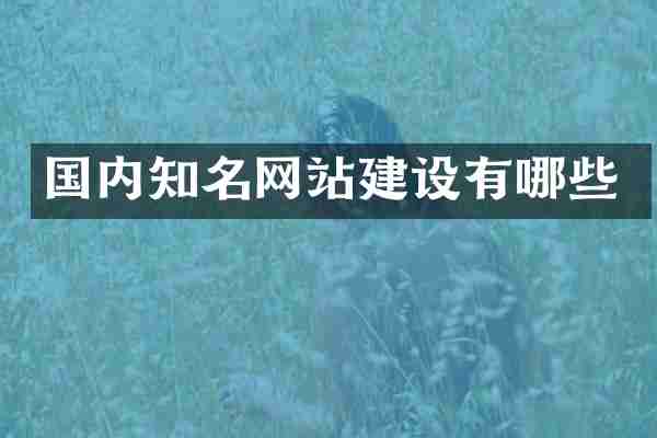 国内知名网站建设有哪些