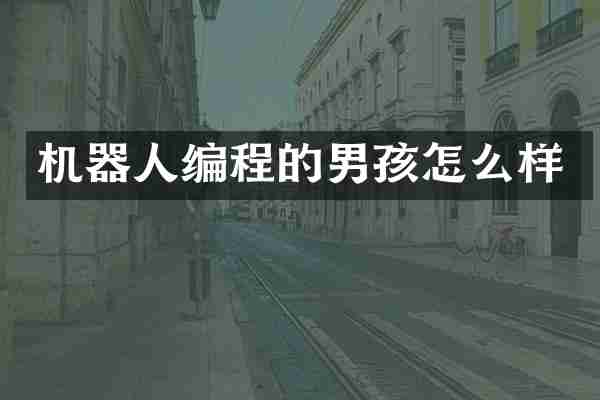 机器人编程的男孩怎么样