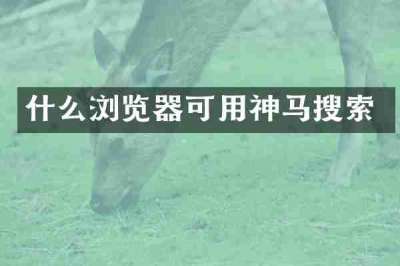 什么浏览器可用神马搜索